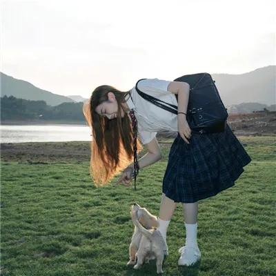 百鸟争春