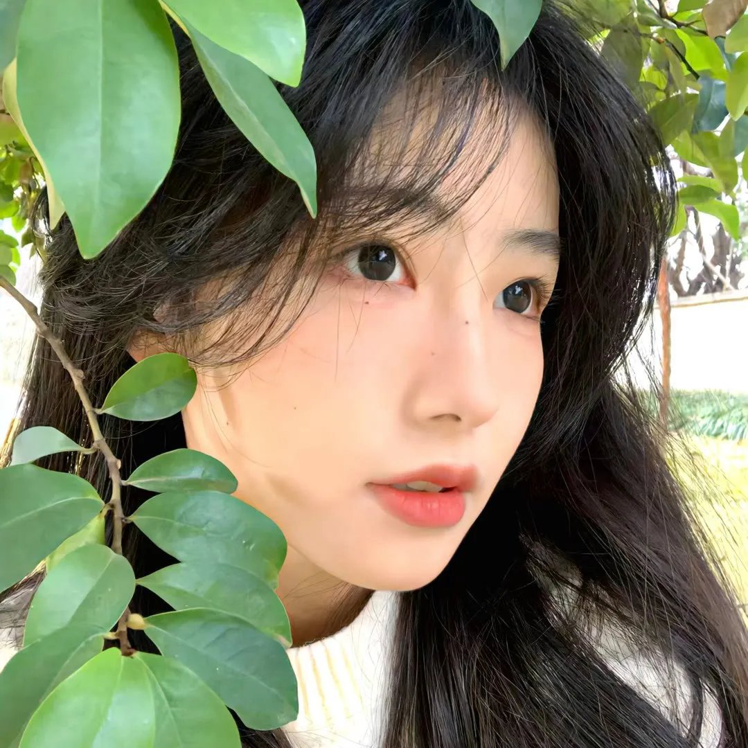 摸金玦之天星陵